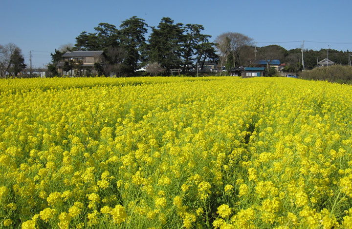 甚兵衛公園